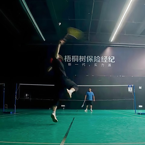 羽毛球作品截图